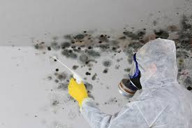 Best Biohazard Mold Removal  in Blackwood, NJ